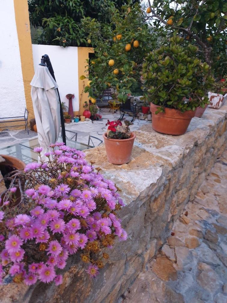Casa Das Janelinhas - Cottage Near Sintra, Mafra, Ericeira Екстериор снимка