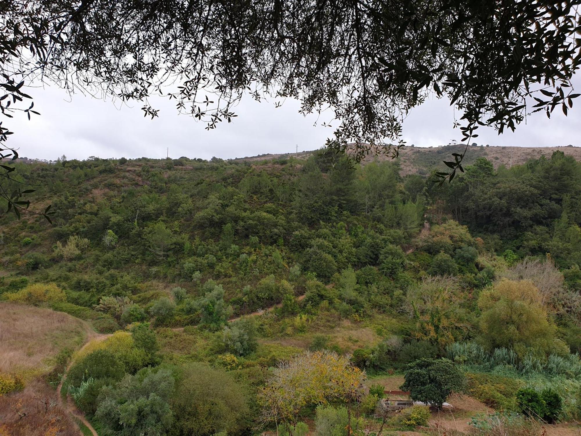 Casa Das Janelinhas - Cottage Near Sintra, Mafra, Ericeira Екстериор снимка